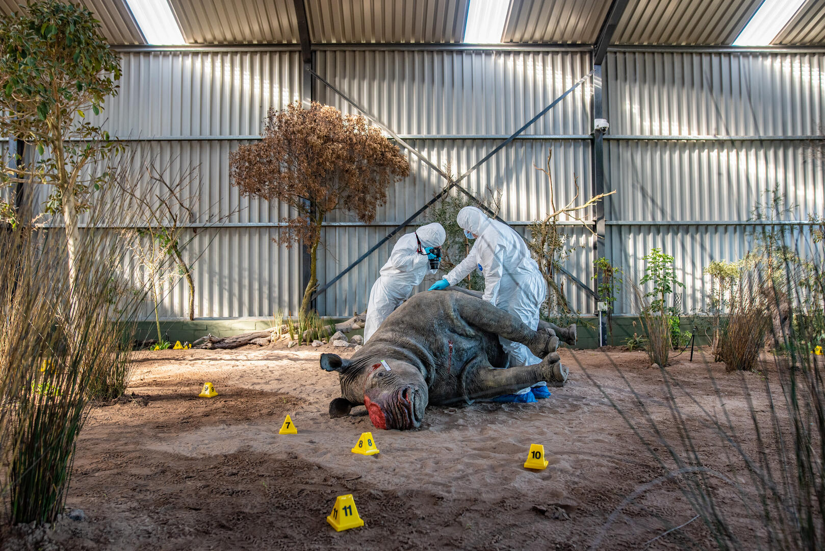 Wildlife CSI Academy By Tommy Trenchard Photocrowd Photo Competitions