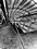 Digital Dream Photography