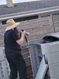 wildpicturetaker