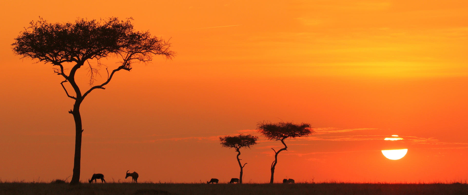 Africa - Travel photo contest | Photocrowd photo competitions ...