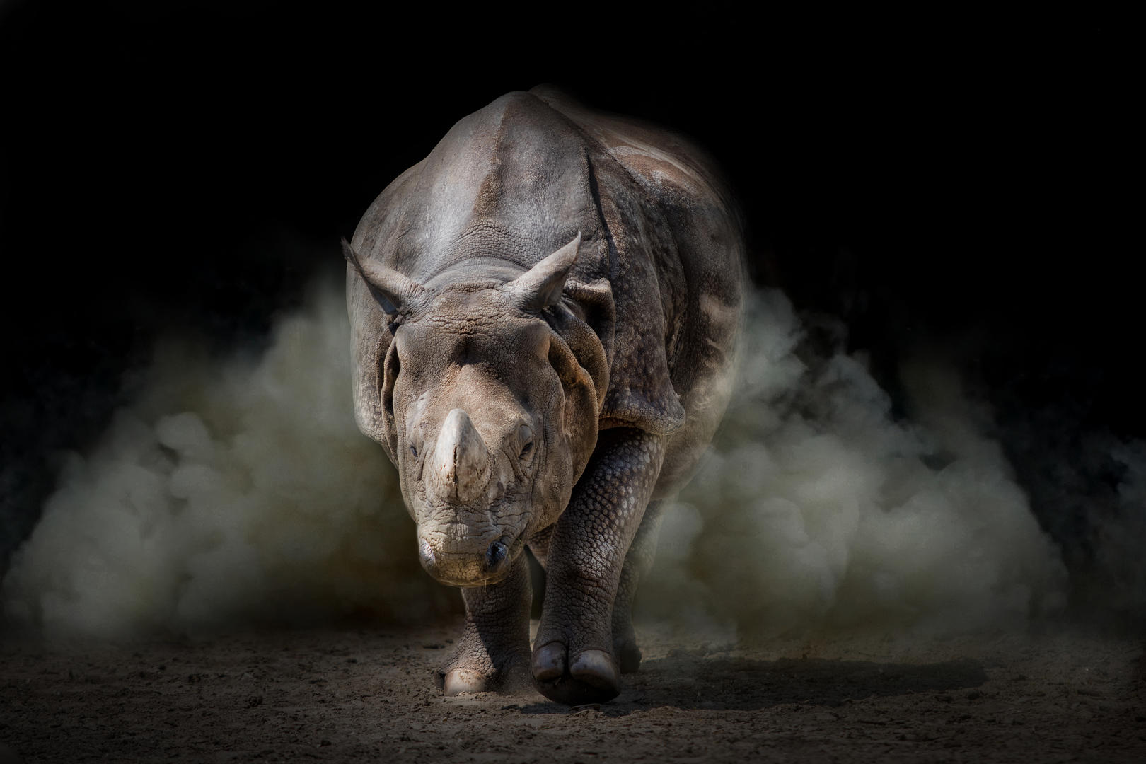 Разъяренный носорог