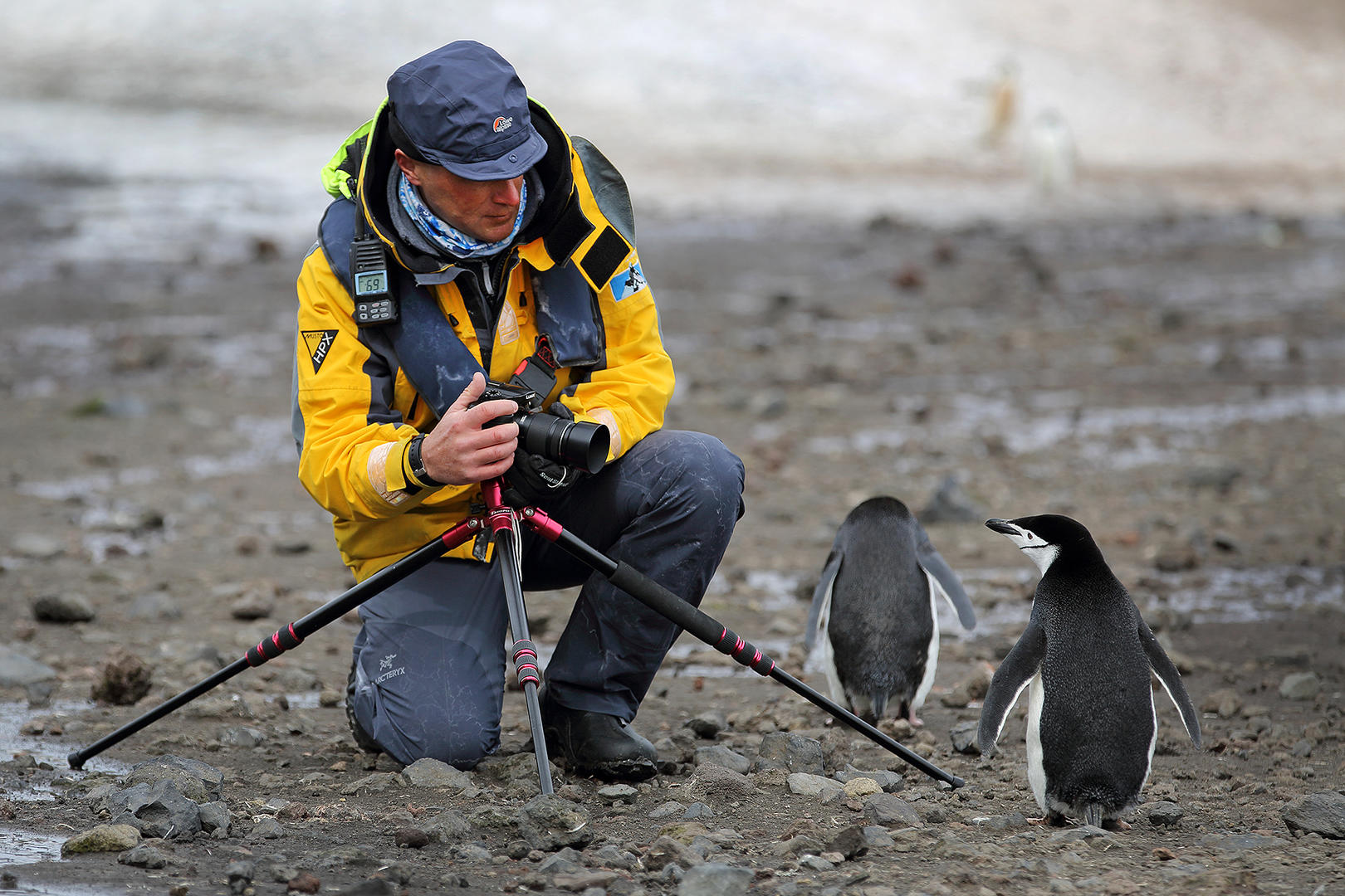 My favorite Penguins underdog story: Johan Hedberg - PensBurgh