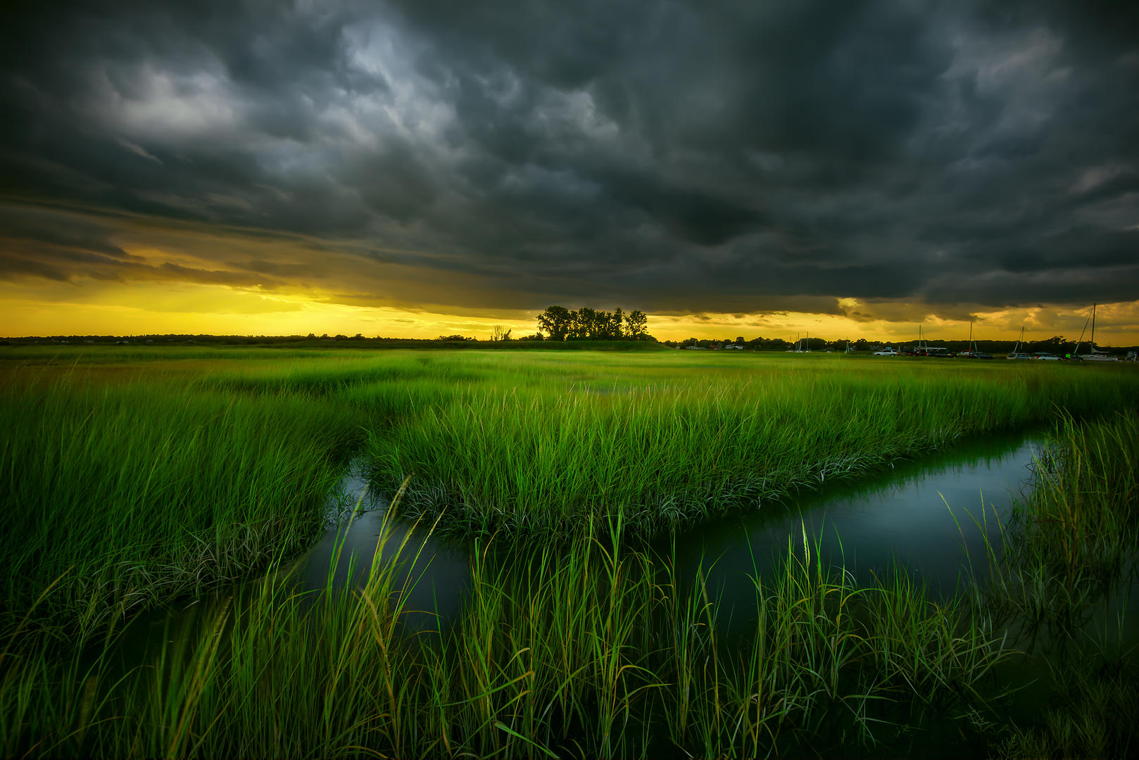 Grass Nature photo contest Photocrowd photo competitions