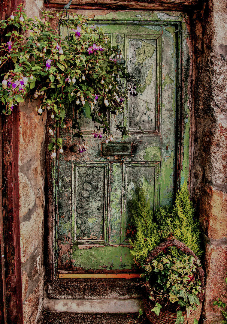 Красивые старые двери. Старинная дверь. Красивые старинные двери. Дверь в сад. Винтажная дверь.