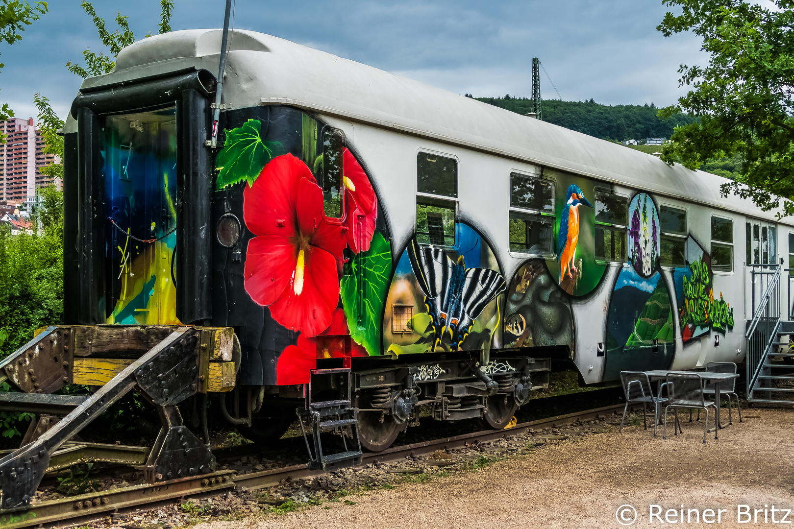 brief-and-entries-graffiti-on-trains-documentary-photo-contest