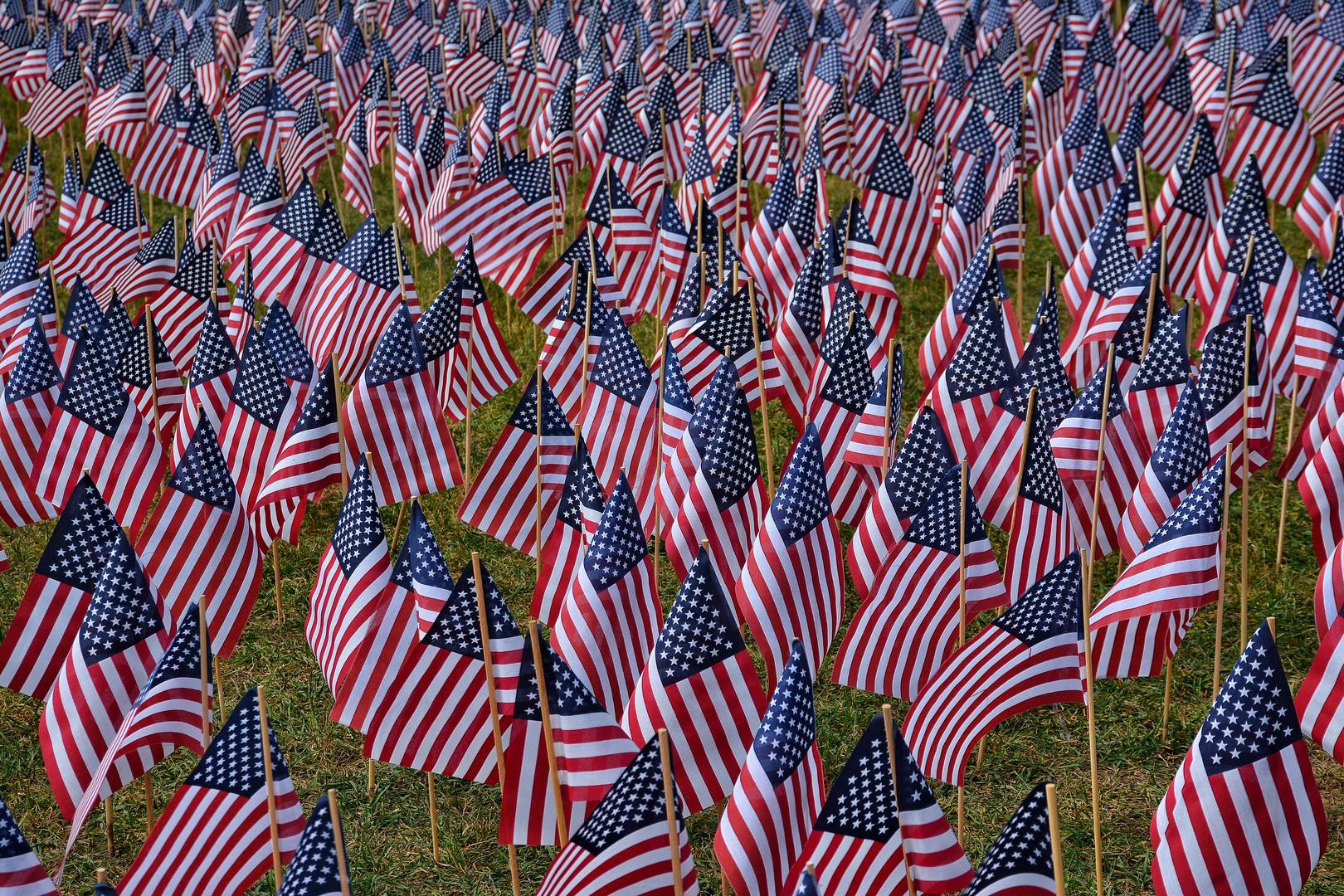 Crowd results | Flags - General photo contest | Photocrowd photo ...