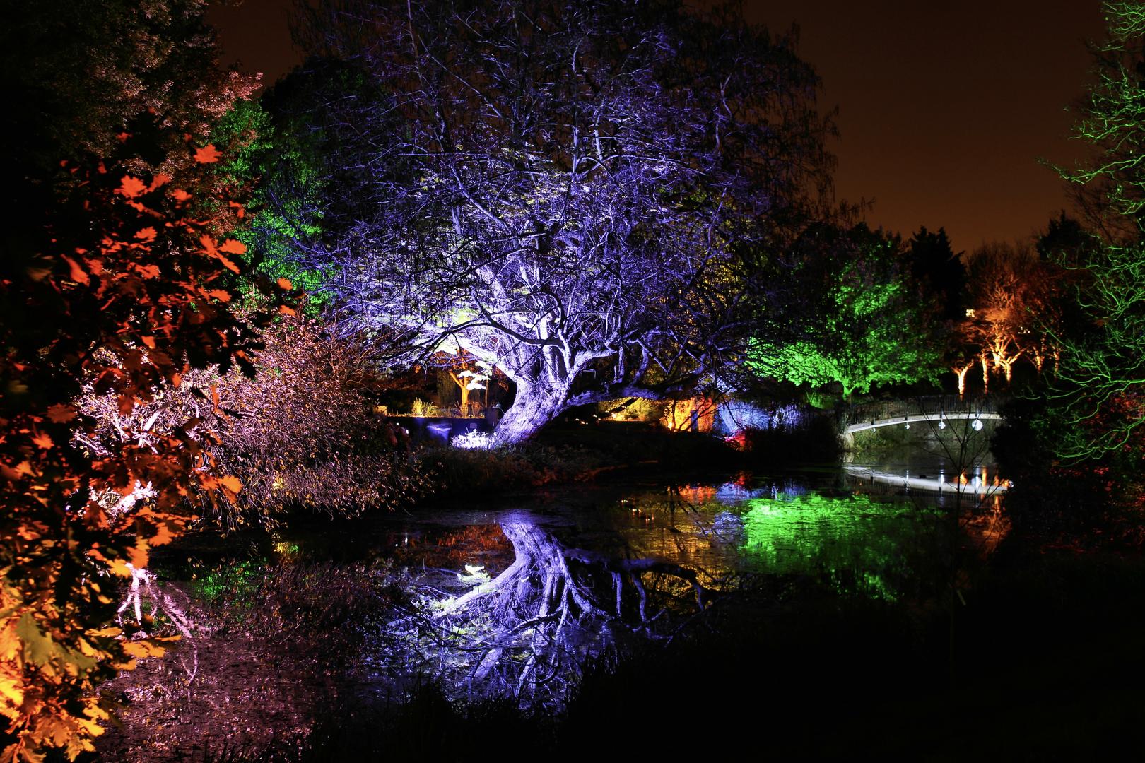 Posted photo. Сион-парке (Syon Park).