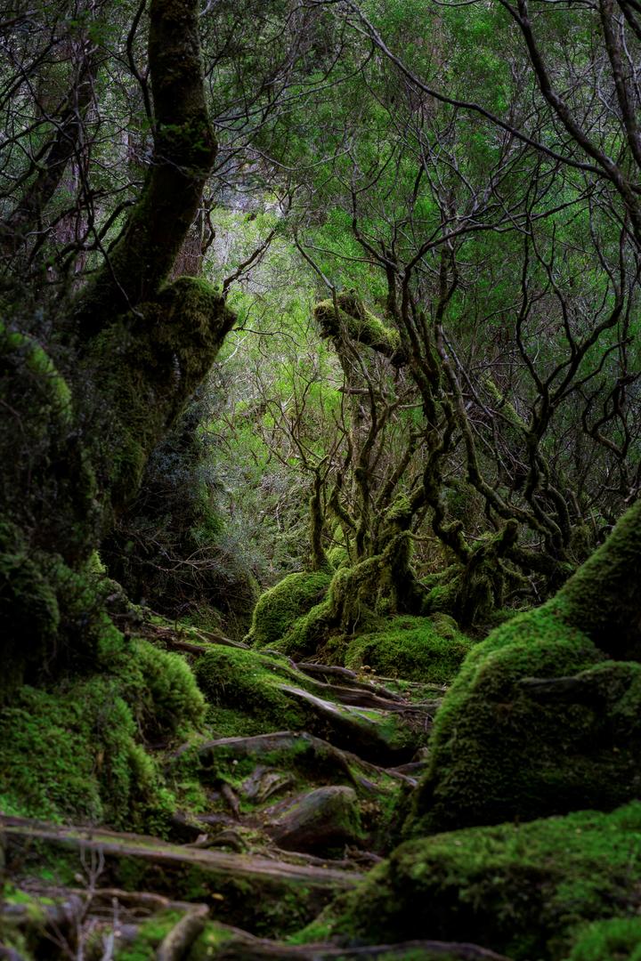 The Way of The Witches Finger by claire walsh | Photocrowd photo ...