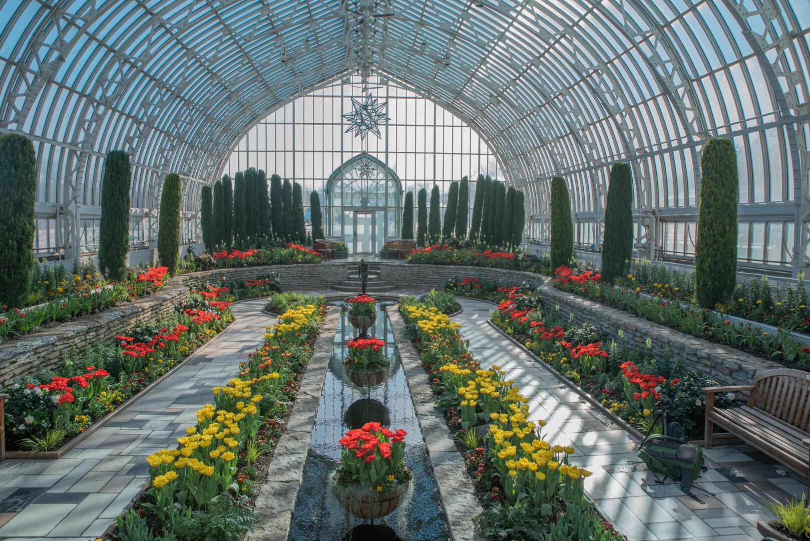 Brief and entries | Flowers in a Glasshouse (in colour) - Flower photo ...