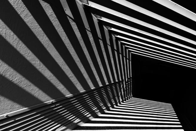 Brief and entries | Straight-Line Shadows in Black and White - Black ...