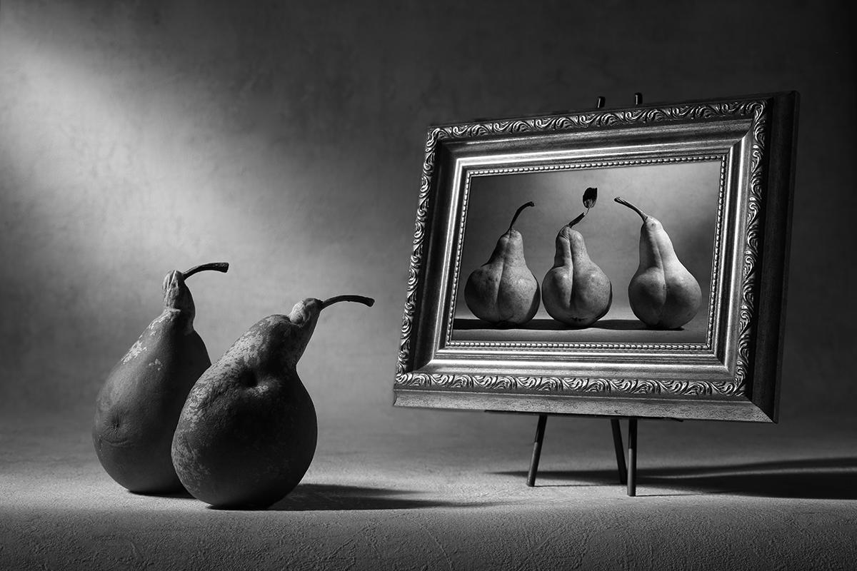 Brief and entries | An Unusual Still Life - Still life photo contest ...