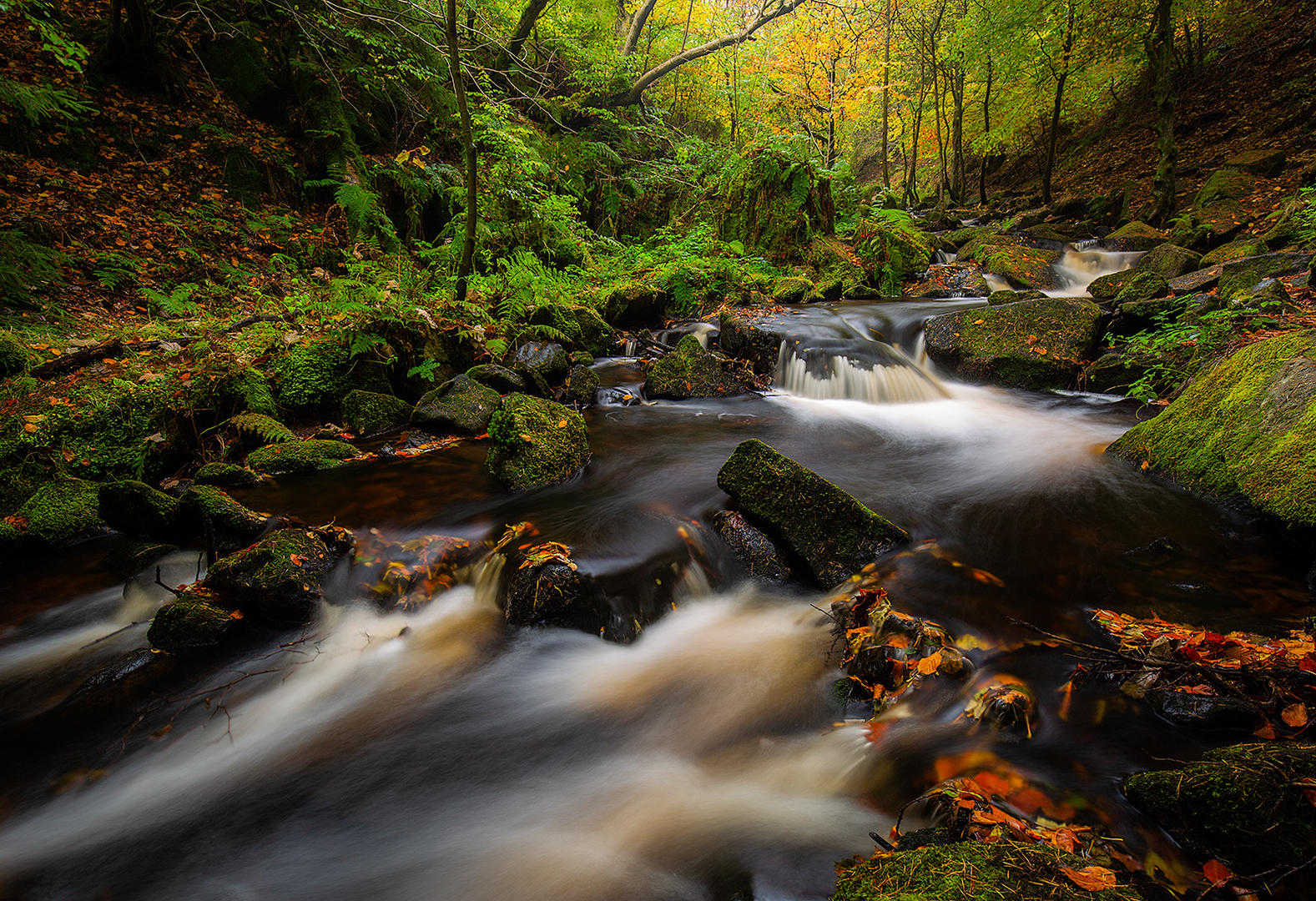 Small Streams And Brooks - Waterscape Photo Contest 