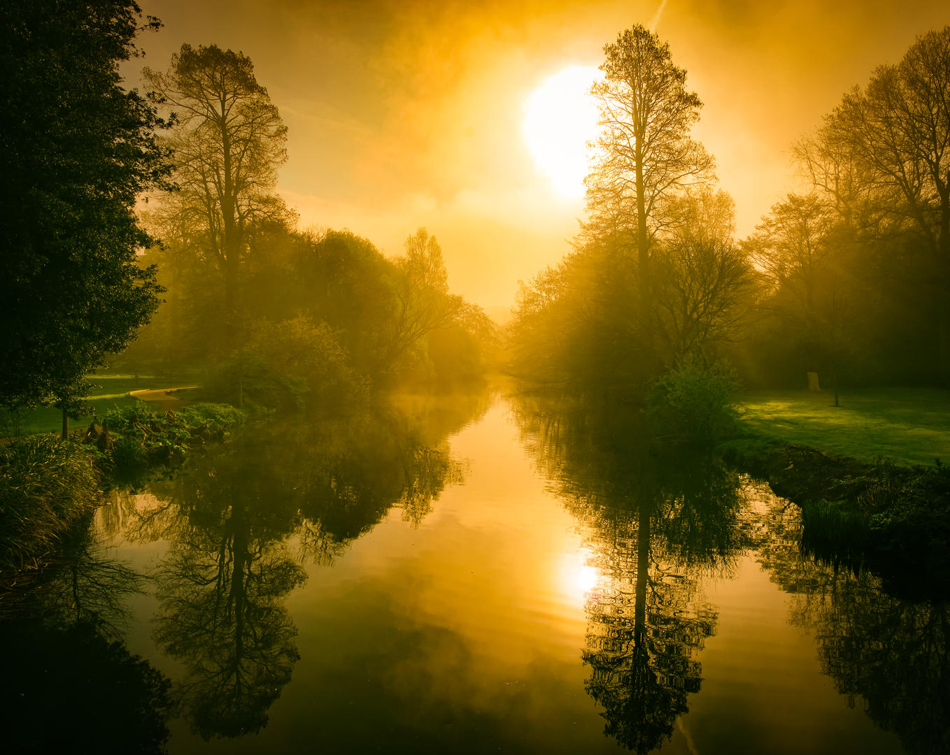 Trees In Summer - Landscape Photo Contest 