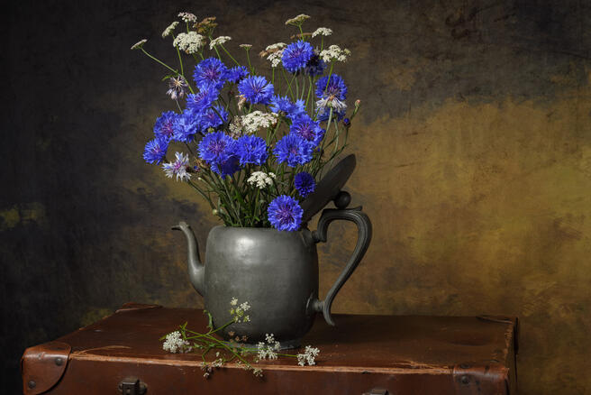 Brief and entries | Flowers in a Vase (in colour) - Flower photo ...