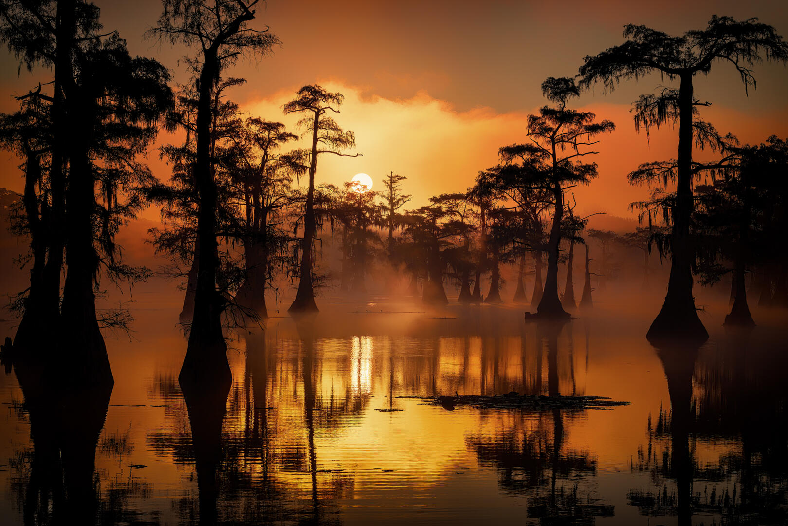 Sunrises And Sunsets Behind Vegetation - Landscape Photo Contest 