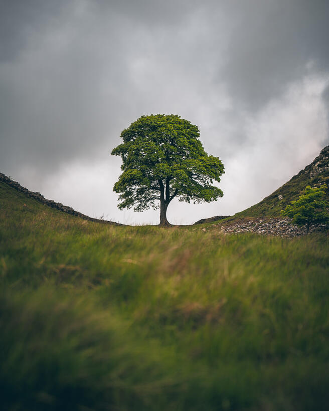 Crowd Results New Joiners Landscapes Landscape Photo Contest Photocrowd Photo