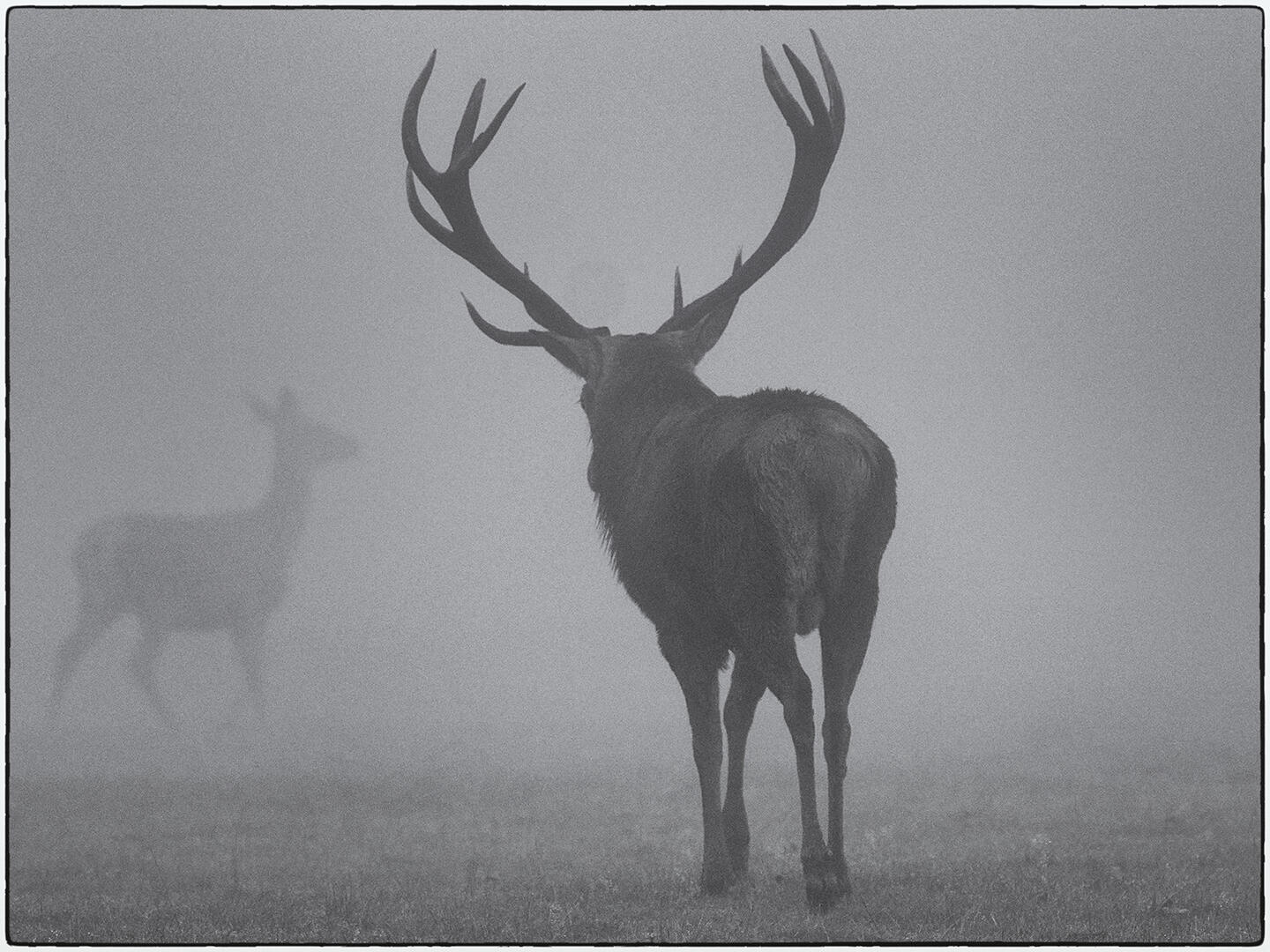 Fog - Landscape photo contest | Photocrowd photo competitions ...