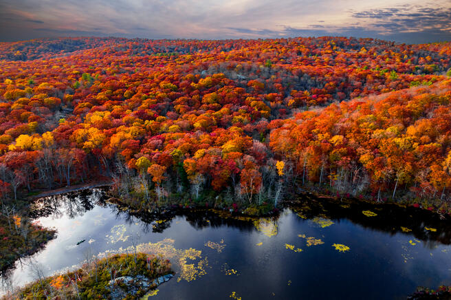 Crowd Results Forests Landscape Photo Contest Photocrowd Photo Competitions Community Site