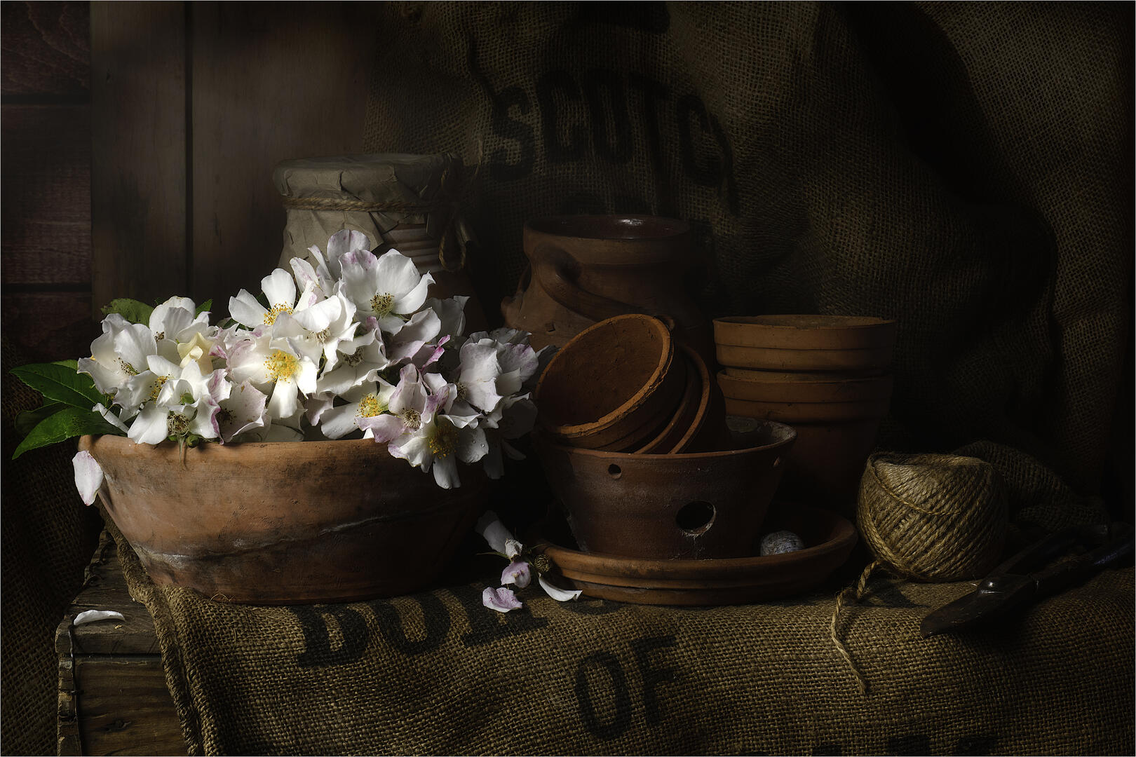 Plant Pots - Still life photo contest | Photocrowd photo competitions ...