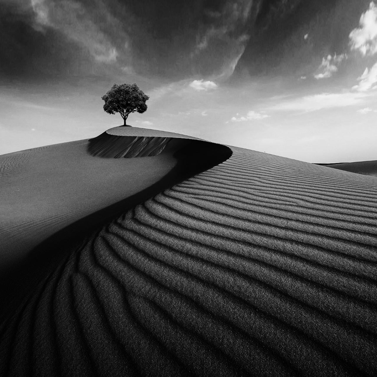 Black & White Landscapes