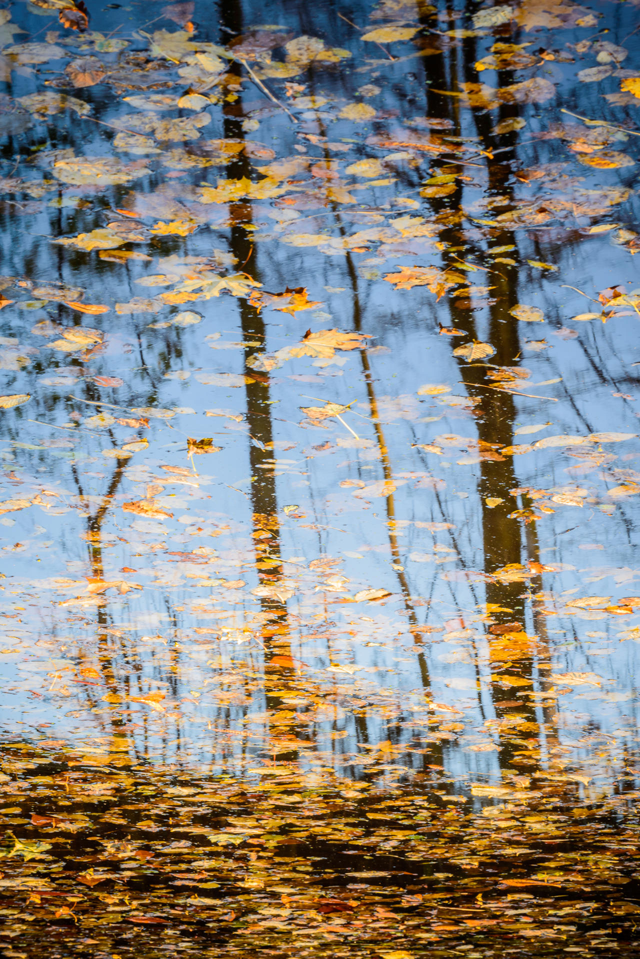 water reflection