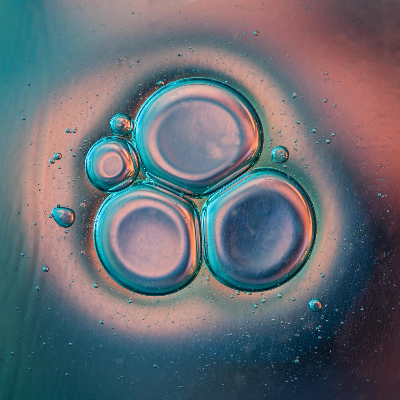 How to Photograph Macro Bubbles