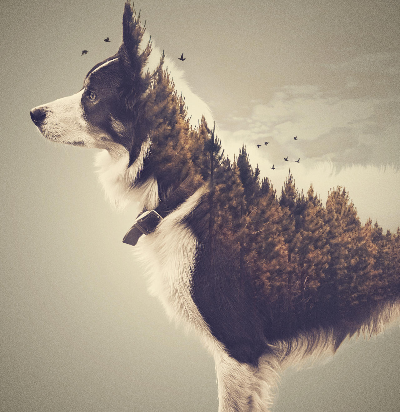 18-excellent-examples-of-double-exposure-images-photocrowd