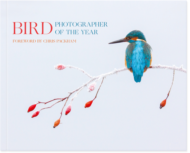 Book & Exhibition Bird Photographer of the Year 2019 Photocrowd